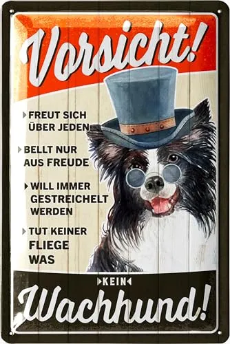 LANOLU Retro Blechschild Vorsicht kein Wachhund, Hunde Geschenke, lustiges Warnschild als Geschenk für Hundeliebhaber und Hundefreunde, Deko Schild Hund, 20x30cm