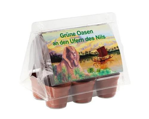 Blumensamen Mini-Gewächshaus -Oasen des Nil - mit Samen der Zwerg-Dattelpalme