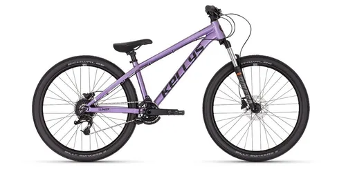 Mountainbikes bis 1000 Euro von Kellys