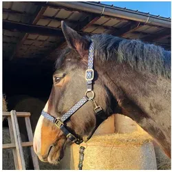 Pferdelinis Halfter Halfter für Pferde in blau, 2-fach verstellbar Shetty, Pony, Cob, Wb, verstellbar Cob