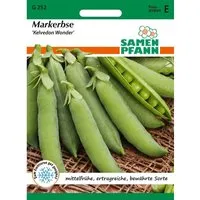 SAMEN PFANN Markerbse Wunder von Kelvedon