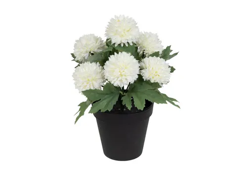 Kunstblume Künstliche Chrysantheme 24x22cm rosa-pink im Topf DP – mit 7 Blüten, Seidenblumen Roß, Höhe 24,00 cm, künstliche Blumen - Farbe: Weiß