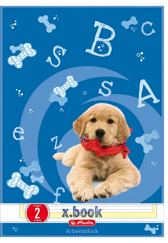 Herlitz Arbeitsblock x.book DIN A4 Lineatur 2 50 Blatt