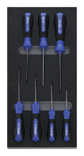 Forum Werkzeugmodul 1/3 leer 2017 Schraubendreher TX von Forum