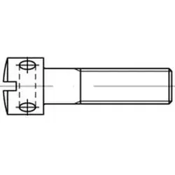 DIN 404 Zylinderkopf-Kreuzlochschraube M3x10 - Maschinenschrauben, 100 Stück galvanisch verzinkt für hohe Korrosionsbeständigkeit und Langlebigkeit, ideal für verschiedene Anwendungen.