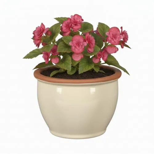 Frostfeste Pflanzgefäße aus Keramik - Wetterbeständige Übertöpfe für Garten & Terrasse in Creme, Lavendel, Soft Blau. Größen von 18cm-38cm (Creme, 18cm x 13cm)