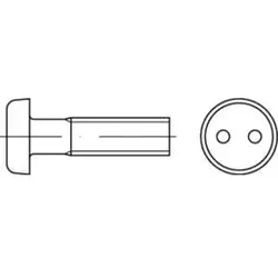 DIN 85 Diebstahlhemmende Linsenkopfschraube M4x10 Edelstahl A2 blank Zweiloch