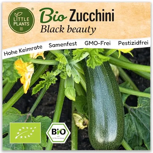 Little Plants BIO Zucchini Samen 10 Zucchinisamen Black Beauty Gemüsesamen Samenfest für Gemüsegarten Gemüse Samen Hochbeet Samen für Küche, Balkon und Garten