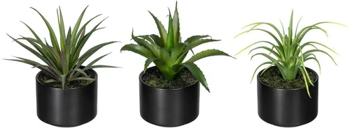 Künstliche Zimmerpflanze Set: Aloe, Agave & Tillandsie Sukkulente - Kunstpflanzen Set mit 3 detailreichen Nachbildungen im eleganten Keramiktopf, pflegeleicht und langlebig – perfekt für jedes Ambiente!