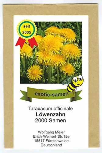 Taraxacum officinale - Löwenzahn - Salat- u. Heilpflanze - Bienenweide - 2000 Samen