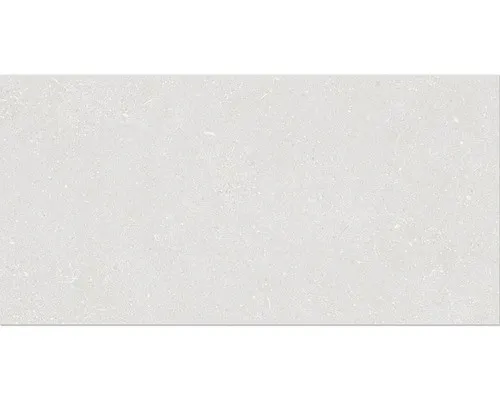 Feinsteinzeug Wand- und Bodenfliese Alpen Weiß matt rektifiziert 30 x 60 x 1.0 c