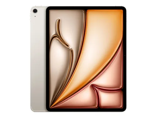 Apple 13