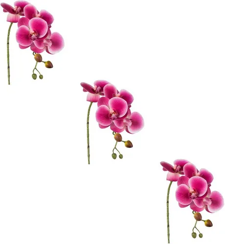 Kunstblume Phalaenopsis 3D-print Orchidee Phalaenopsis, Creativ green, Höhe 42 cm, mit Real-Touch-Blüten