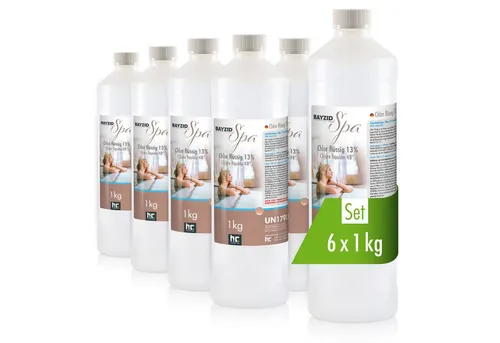 6x 1 kg BAYZID® SPA Chlor für Whirlpools von Höfer Chemie GmbH