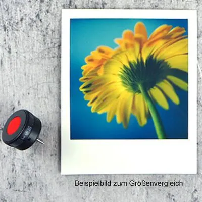 MINT Self(ie) Timer für SX70/SLR670/SLR680 von Mint