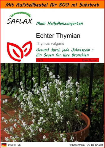 SAFLAX Blumensamen SAFLAX - Garden in the bag - Echter Thymian