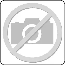 Schleifbockscheibe Ø150xB25x32mm 80 Form A Silicium Carbid grün