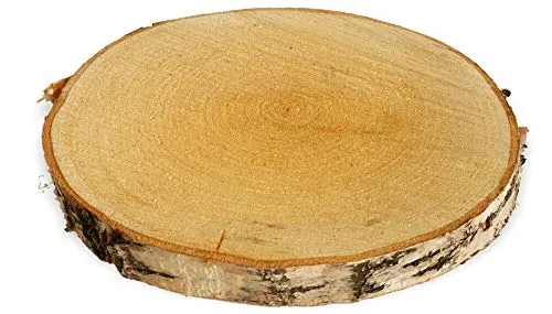 Große Holzscheiben zum Basteln oder Dekorieren - 2 naturbelassene Birkenholz Baumscheibe in 25-30 cm Durchmesser - runde Holz Birkenscheiben als Deko Holzplatte Holzdeko