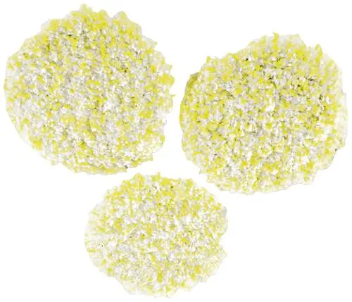 Kärcher Home & Garden Polierpads für Stein, Linoleum & PVC - 3 spezielle Polierpads für den Saugbohner FP 303, ideal zum perfekten Polieren von matten Böden. Garantiert ein erstklassiges Polierergebnis auf Stein, PVC und Linoleum.