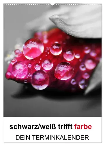 Cathrin Kaden | Schwarz/Weiß trifft Farbe - Dein Terminkalender 2025 - Gestalte deinen Alltag mit diesem einzigartigen Kalender, der kreative Farbakzente setzt und dir hilft, alles im Blick zu behalten. Ideal für Planung und Organisation!