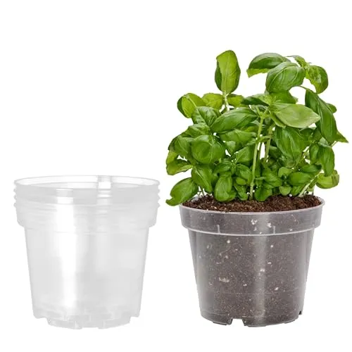 Garronda Blumentopf Orchideentopf Transparent runder Übertöpfe für Zimmerpflanzen Pflanzentopf Pflanztöpfe Kunststoff in verschiedenen Größen GD-0024 (5 Stück Transparent, ⌀ 21cm H 16cm)