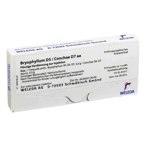 Bryophyllum D 5 Con D 7 8 ML - Arzneimittel zur Harmonisierung des rhythmischen Systems, ideal bei Einschlafstörungen und Unruhezuständen. Flüssige Verdünnung zur Injektion für gezielte Anwendung.