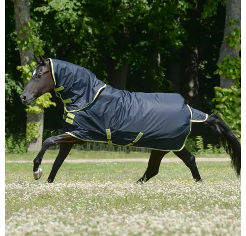 Oasis Turnout 100+Neck Set, 145, Dark Grey/Lime - Wetterfeste Pferdedecke mit zusätzlichem Halsteil, ideal für kalte Tage und optimalen Schutz im Stall oder auf der Weide.