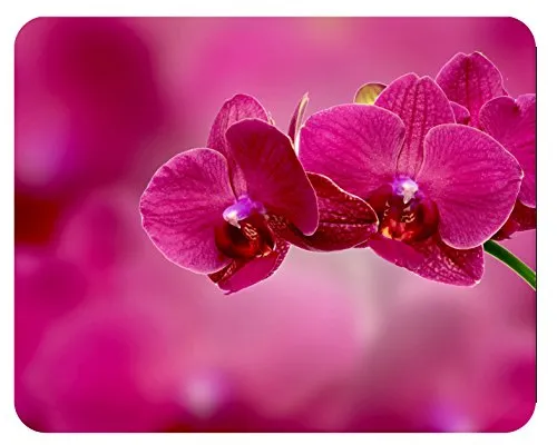m. kern Mousepad Orchidee pink