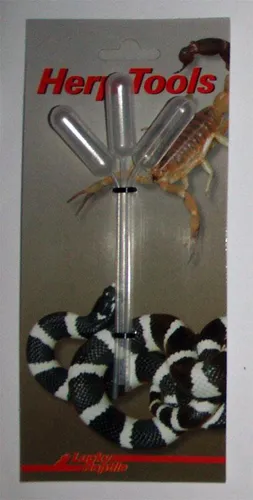 Lucky Reptile von Lucky Reptile