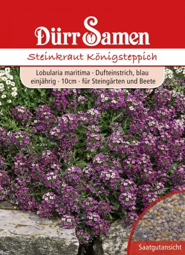 Dürr-Samen - Steinkraut Königsteppich weiß einjährig 10 cm Saatgut