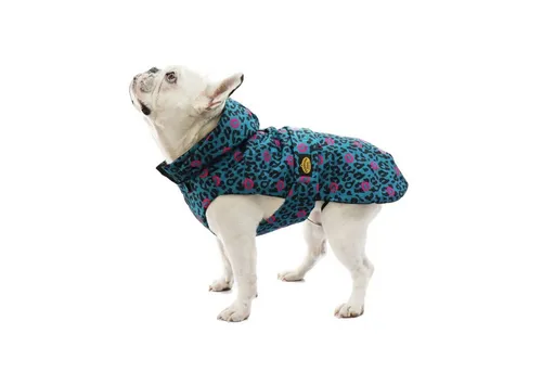 Fashion Dog Hundemantel für Mops und Bulldogge - Steppmantel - Haustier-Mäntel, warmer und stylischer Steppmantel aus 100% Polyamid, perfekt für kalte Tage und ideal für kleine Hunderassen wie Mops und Bulldogge.