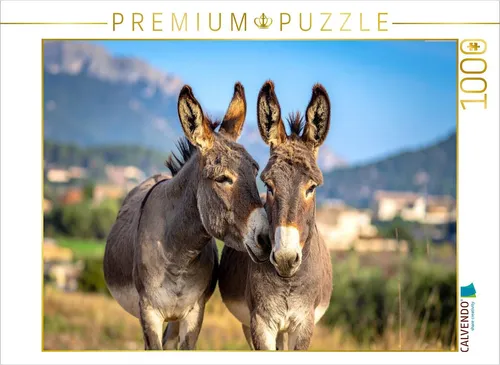 CALVENDO Puzzle Zwei Eselfreunde | 1000 Teile Lege-Größe 64x48cm Foto-Puzzle für
