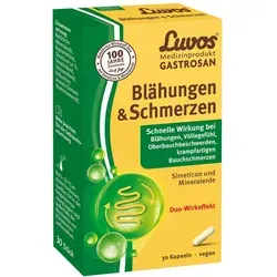 Luvos® Gastrosan Blähungen & Schmerzen Kapseln - Arzneimittel zur schnellen Linderung von Blähungen, Bauchschmerzen und Völlegefühl. Mit veganen Inhaltsstoffen und bewährtem Duo-Wirkstoff für eine entspannte Magen-Darm-Passage.