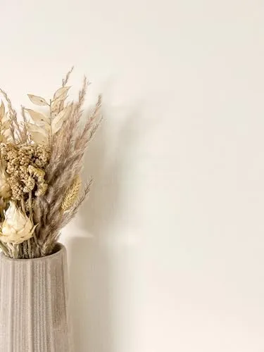 Newroom Tapete Creme Vliestapete Unifarbe - Universal Modern Beige Struktur Leinen-Optik Einfarbig Uni Stoffoptik inkl. Tapezier-Ratgeber