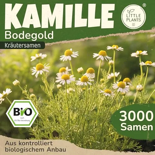Saatgut von Little Plants