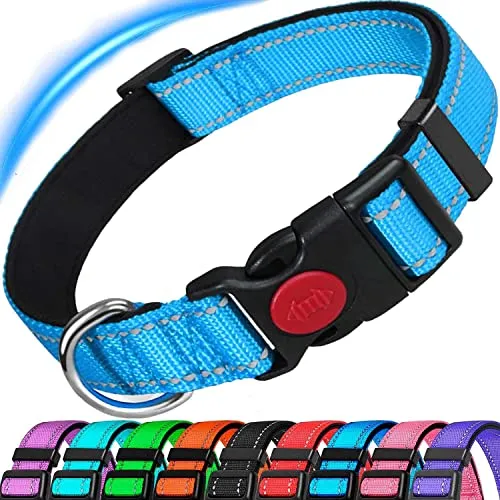 ATETEO Reflective Dog Collar with Safety Locking Buckle and Soft Neoprene Padded, Adjustable Durable Nylon Puppy Collars for Small Medium Dogs,Blue