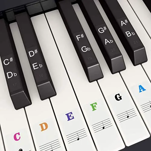 Fansjoy Klavier Keyboard Aufkleber für 37/49/54/61/88 Weiße und Schwarze Tasten, Bunt Noten-Aufkleber Klaviertasten Aufkleber für Kinder und Anfänger, Transparent Entfernbar