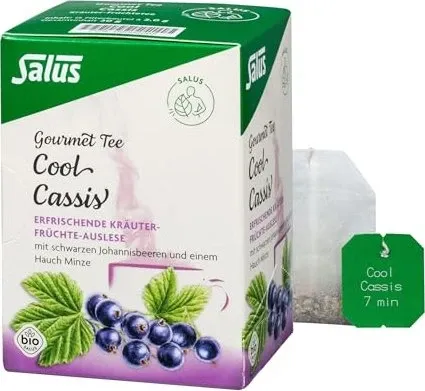 COOL CASSIS Kräutertee Salus Filterbeutel 15
