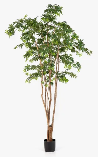 Kunstbaum Japanischer Kunst Ahornbaum ILIANU, 240 cm, grün - Der 240 cm hohe Japanische Kunst Ahornbaum von artplants ist ideal für die Innenraumgestaltung. Mit realistischen Echtstämmen bringt er lebendige Farben in Ihr Zuhause, ohne Pflegeaufwand.