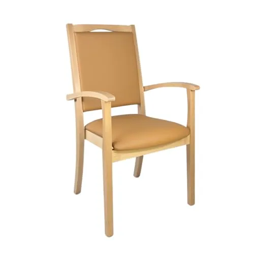Erides Seniorenstuhl Alexander Hochlehner mit Armlehnen – Pflegestuhl, Buche massiv, gepolstert, ergonomisch, fertig montiert, für Senioren, Pflege & Praxis (Kunstleder, Soft Camel)