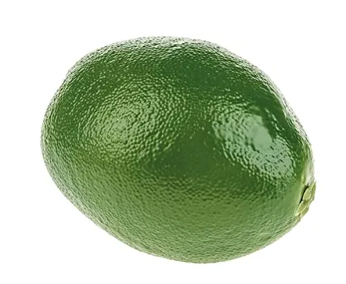 Lebensmittel-Attrappen von artplants