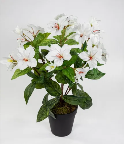 Kunstblume Hibiskus 40cm im Topf ZF Kunstpflanzen Blumen künstlicher Eibisch Hibiskus, Seidenblumen Roß, Höhe 40 cm, Weiß-Creme