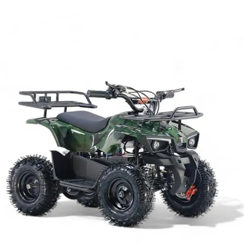 KXD ATV M8 1000W von KXD