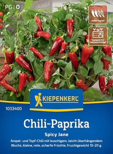 Kiepenkerl Chili-Paprikasamen Spicy Jane 1033400 - buschig - leicht überhängend - Ampel- und Topf Chili - Paprika Pflanze, Gemüsesamen, Saatgut