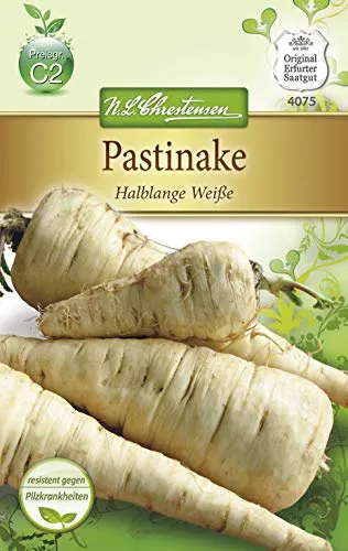 Pastinaken Halblange Weiße - Winterhart - Original N.L. Chrestensen Erfurter Saatgut für eine Kulturdauer von 24-32 Wochen. Ideal für den Anbau im Garten, reicht für ca. 5-7 lfd. Meter.