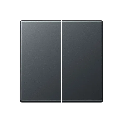 Jung A595BFANM Wippe, Thermoplast lackiert, Serie A, anthrazit matt