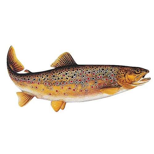Produktbild Jenzi Fisch Aufkleber ca.15cm Zander