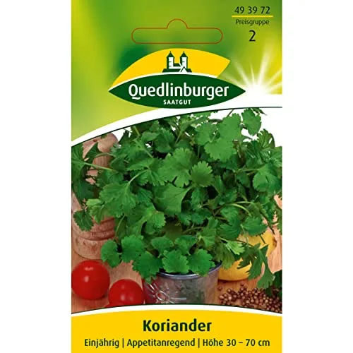 Produktbild Koriander, 1 Tüte Samen