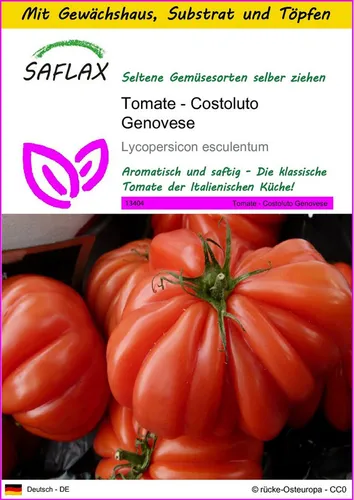 SAFLAX Gemüsesamen SAFLAX - Anzuchtset - Tomate - Costoluto Genovese