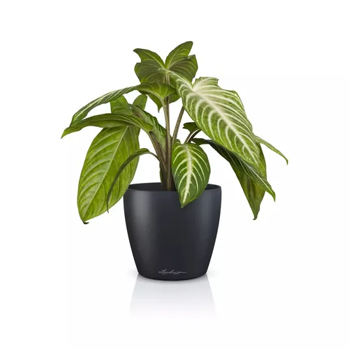 Lechuza Übertopf Classico Color 14 DECO schiefergrau 16680